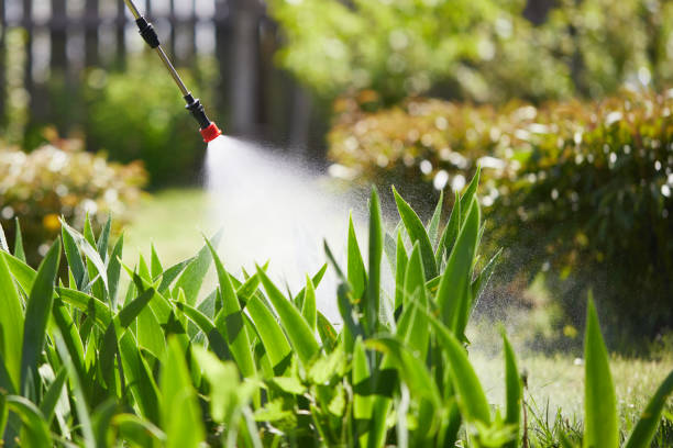 24/7 Emergency Mosquito Control experts in Ludowici, GA