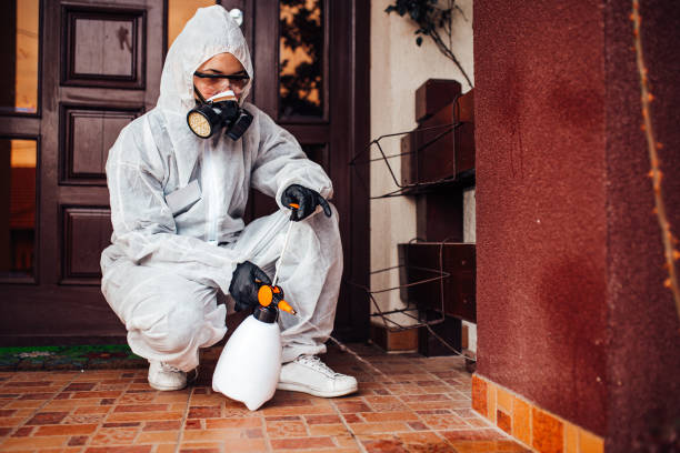 Reliable Mosquito Control contractor in Ludowici, GA by Show Me Pest Control