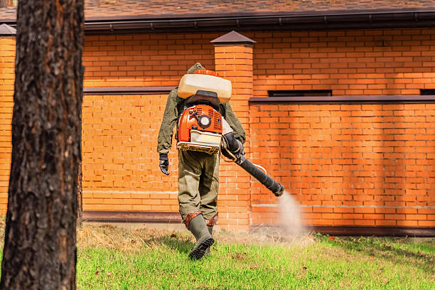 Top rated local Mosquito Control specialists in Ludowici, GA